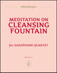 Meditation on Cleansing Fountain P.O.D cover